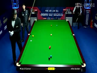 向风而行电视剧免费观看完整版