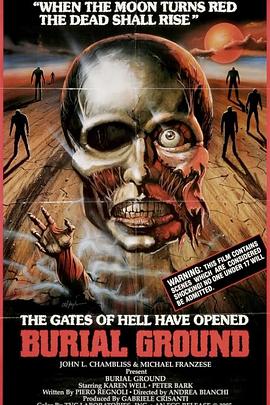 电视剧黎明之前