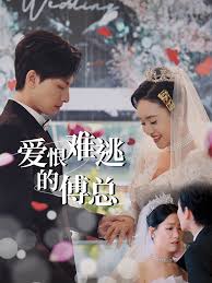 爱在青山绿水间电视剧免费观看