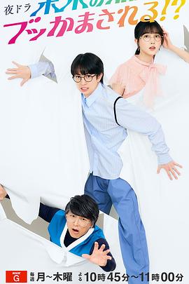 扫黑风暴电视剧全集在线观看