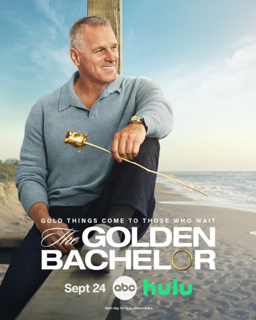 护宝寻踪40电视剧全集