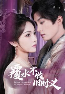 藏海花电视剧免费观看完整版