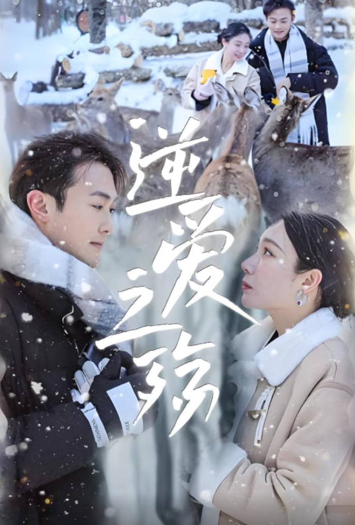 为美好的世界献上祝福2