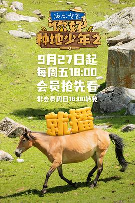 韩国电影下女完整版