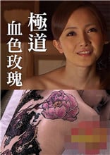 几度夕阳红电视剧