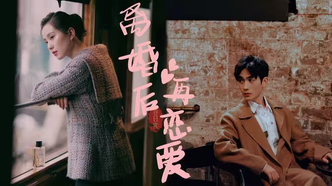 一片冰心在玉壶电视剧