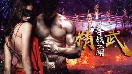 孤岛飞鹰电视剧全集