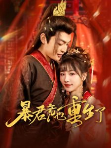 芸汐传电视剧全集免费观看