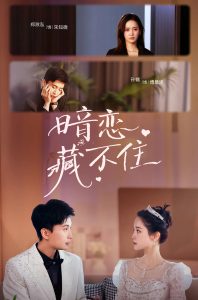 婚前试爱在线观看完整电视剧免费