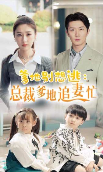 有风的地方电视剧免费观看完整版