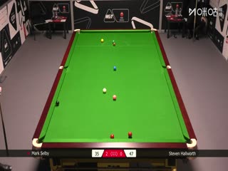 花房姑娘免费观看2022古装剧