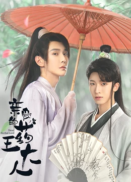 七九河开电视剧全集免费观看