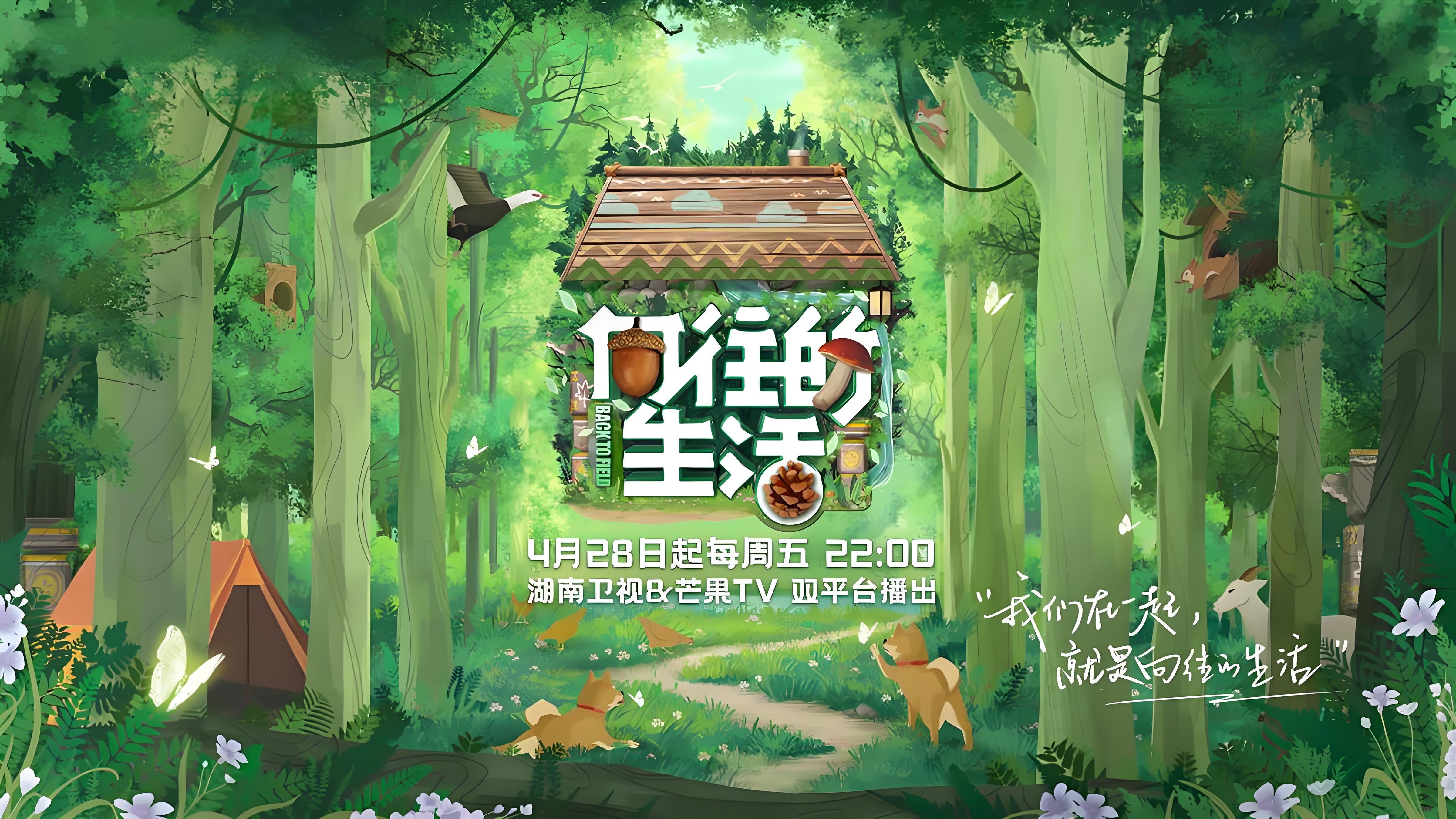 莲花楼电视剧免费观看完整版高清