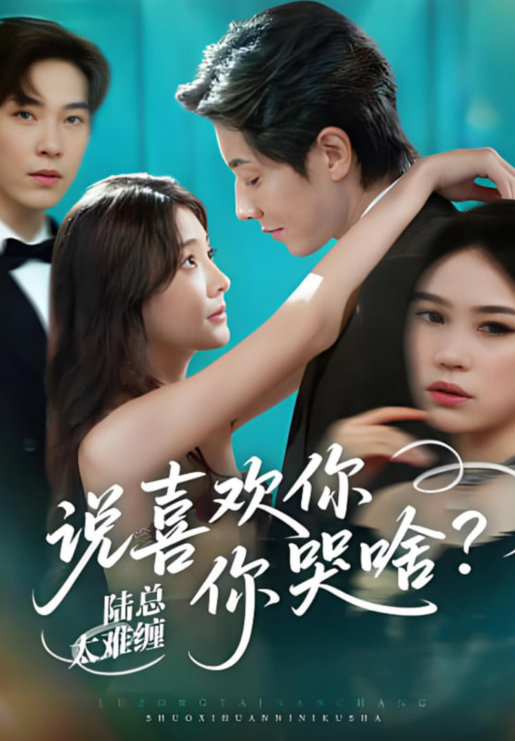 梦中的那片海电视剧