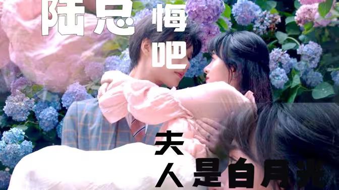 yy8848影视电视剧大全