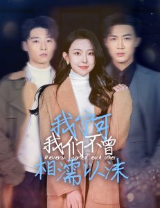 我的团长我的团电视剧