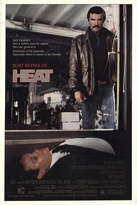 电视剧《以法之名》全集