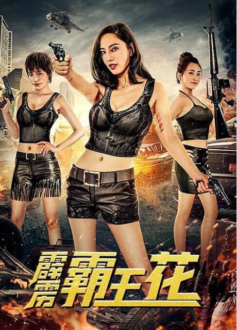 《狂飙第二部》电视剧