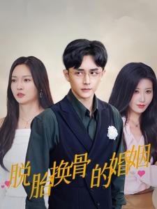 神马第九达达兔电视剧