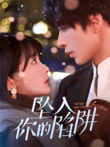 暴君的厨师 电视剧