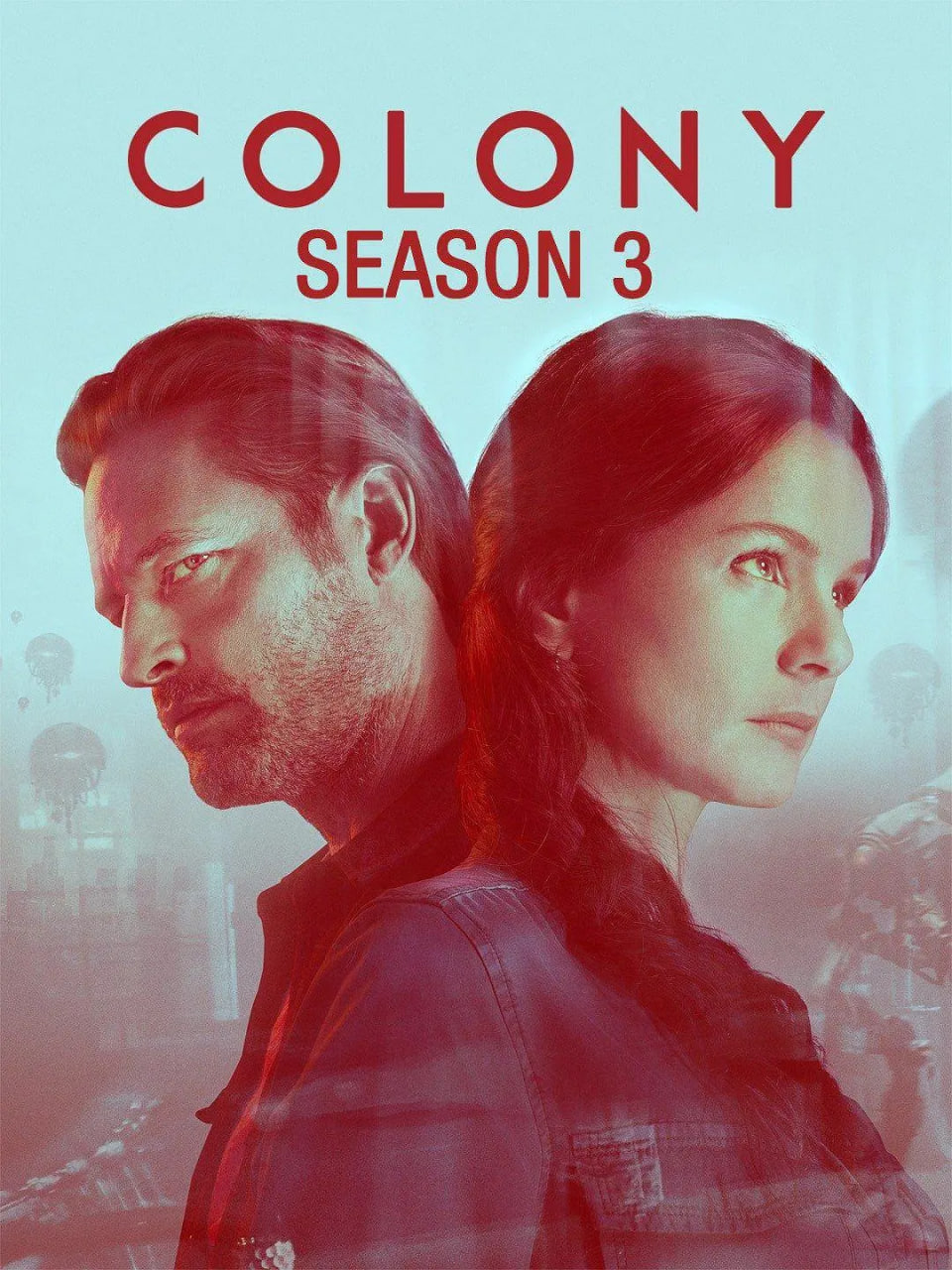 御赐小仵作电视剧免费观看