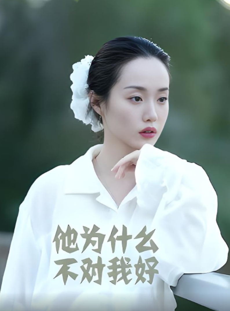 电视剧双城生活全集