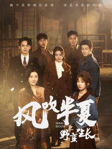 天道电视剧全集