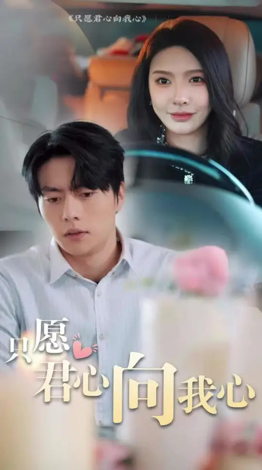 照明商店电视剧免费观看完整版