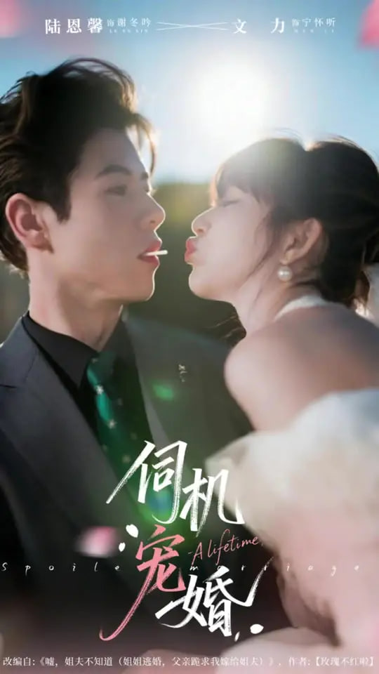 我的柠檬精先生电视剧免费观看全集