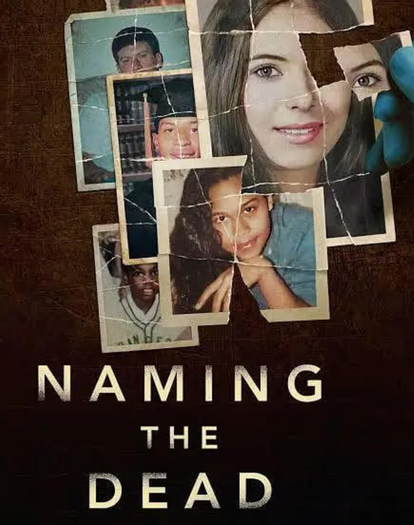 仙武帝尊动漫在线观看全集