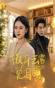 向风而行 电视剧