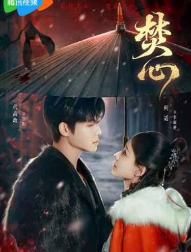 电视剧《焕羽》