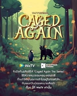 祈今朝电视剧免费观看完整版高清