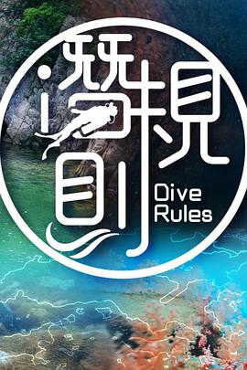 韶华若锦全集在线观看