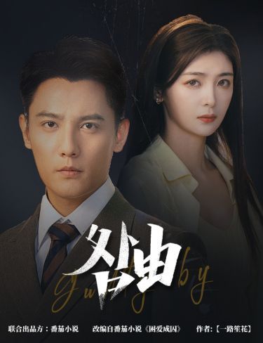 锦衣之下电视剧在线观看全集