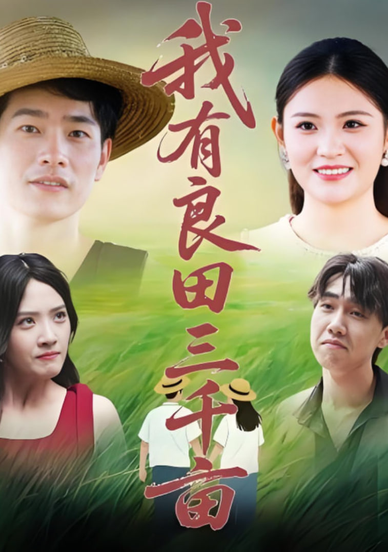 野鸽子电视剧全集