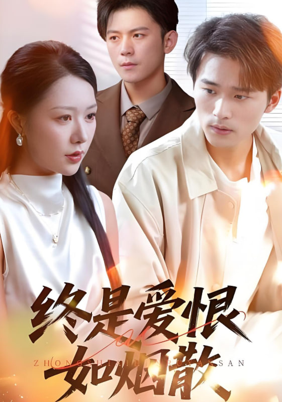 《我叫赵甲第2》电视剧