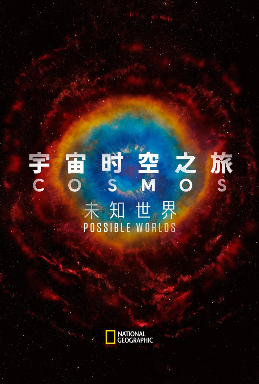 午马影视免费观看电视剧电影