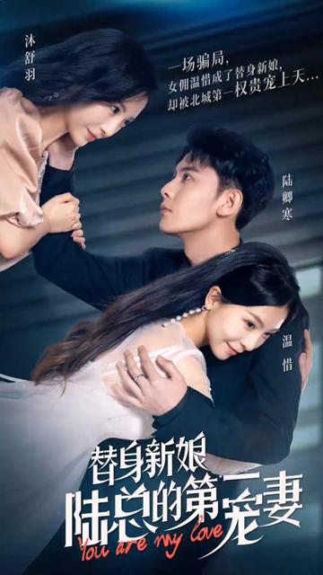 似锦电视连续剧免费观看