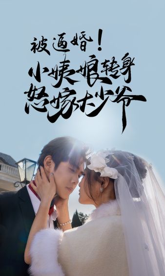 风雨送春归 电视剧