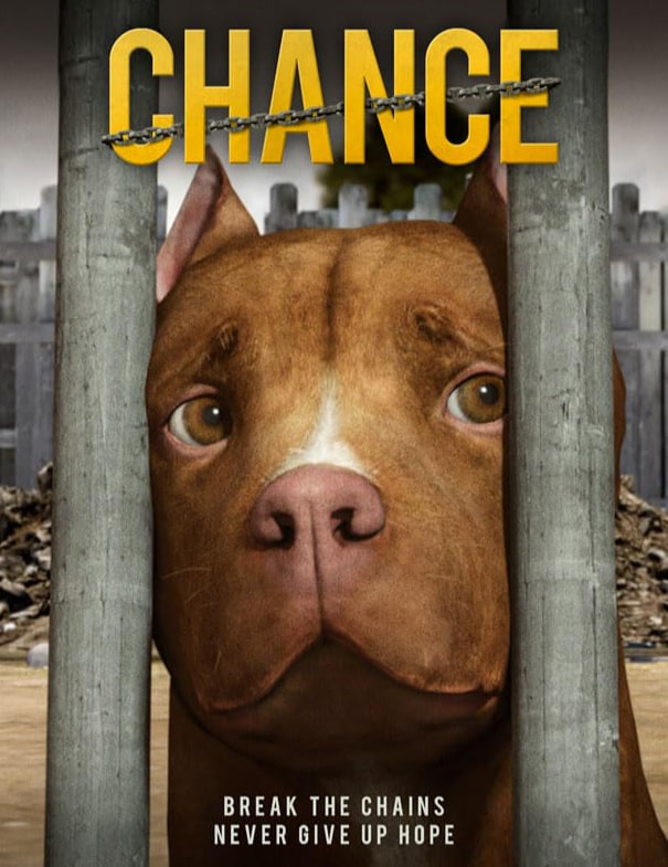 《酒店激战》1-5集免费观看中文版下载