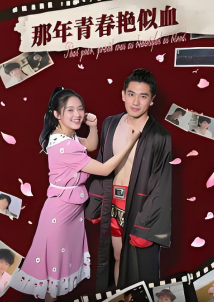 入殓师电影在线观看免费完整版