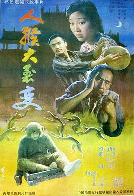 不会恋爱的我们电视剧免费观看