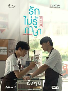 扫毒风暴电视剧在线观看