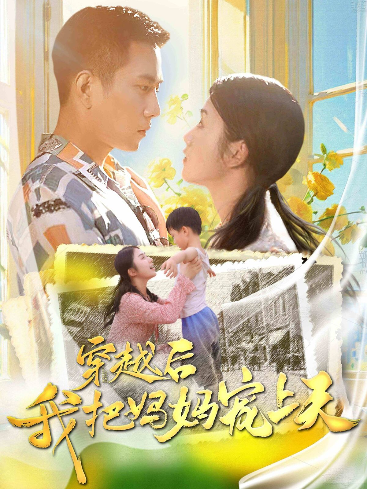 一片冰心在玉壶电视剧