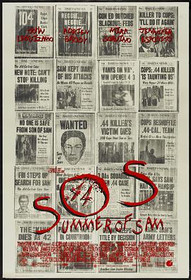 沉默的真相电视剧