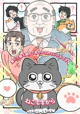 消失的十一层电视剧免费观看完整版