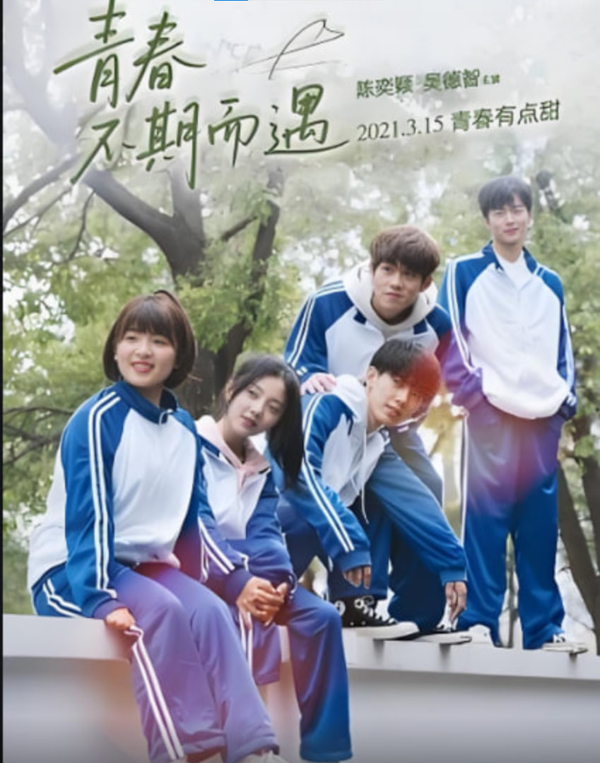 日剧公媳在厨房的电视剧