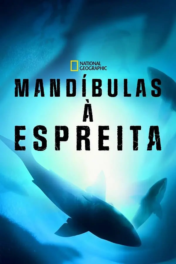 少帅张学良电视剧全集免费观看