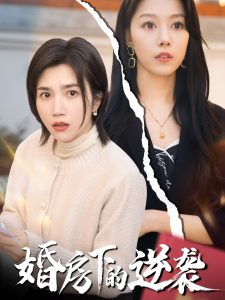 金鱼妻电视剧完整版在线